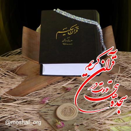 سجده های تلاوت در قرآن کریم