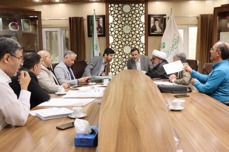 نشست علمی با رئیس کتابخانه و موزه قرآن‌های خطی آستان مقدس علوی